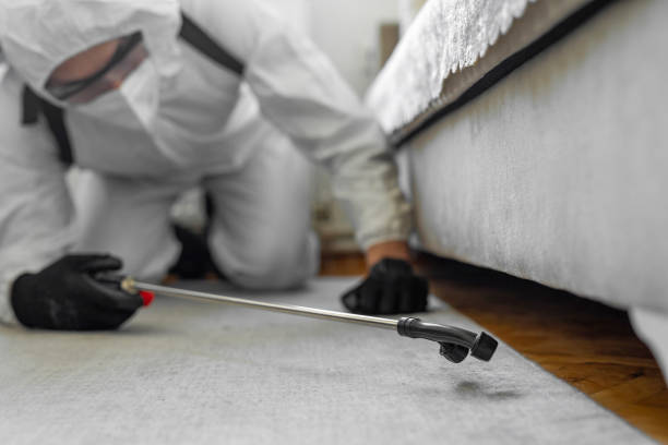 Professional Bed Bug Control technician working in Garden City, ID