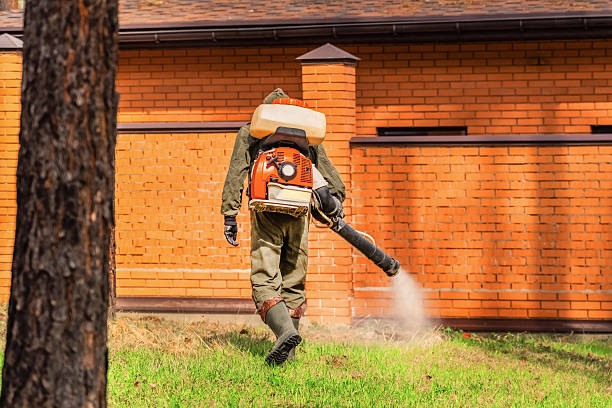 Trusted Emergency Pest Control service in Garden City, ID - Nex Pest Control